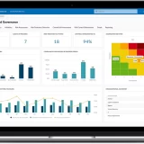 IT Governance Services