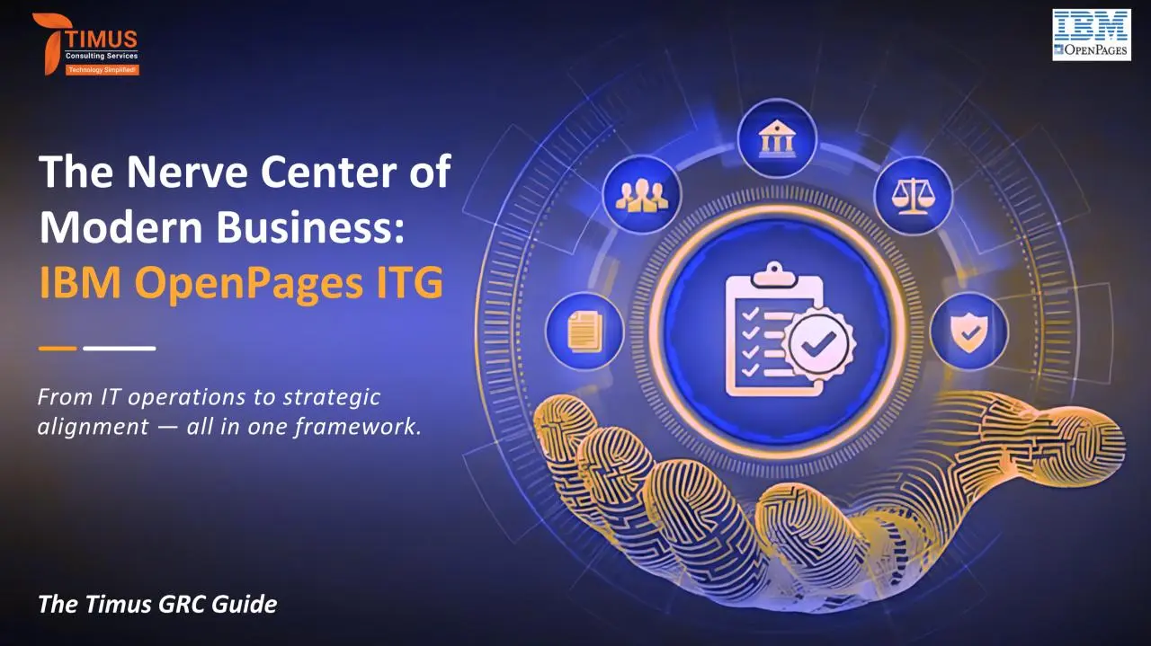 IBM OpenPages Consulting