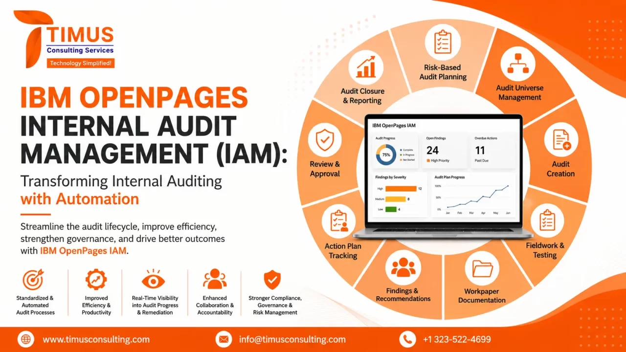 IBM OpenPages IAM